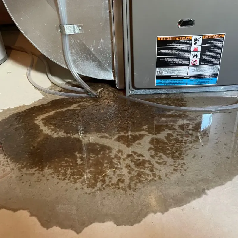 Pipe Burst and Leak Restoration in Centerville, OH
